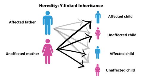 inherited übersetzung|what does inherit means.